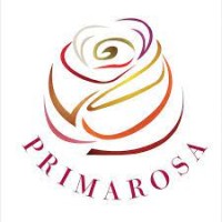 primarosa flowers logo
