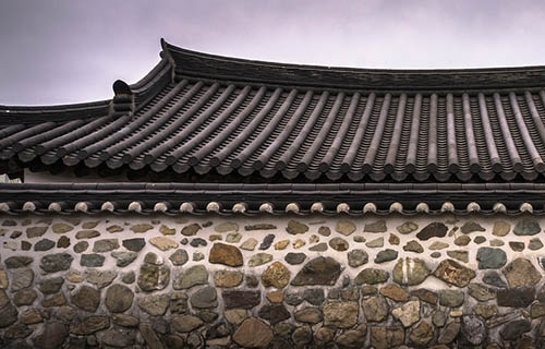 vegetative roof.jpg